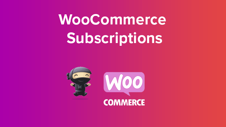 woocommerce subscriptions plugin